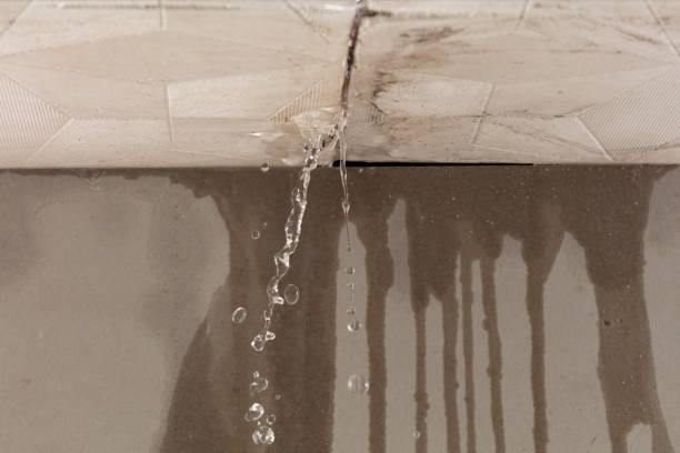 Professional Burst Pipe Cleanup technician working in Parker, TX